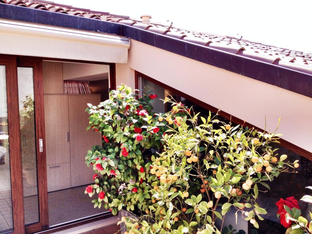 La Terrazza Sull'Arena Apartment เวโรนา ห้อง รูปภาพ